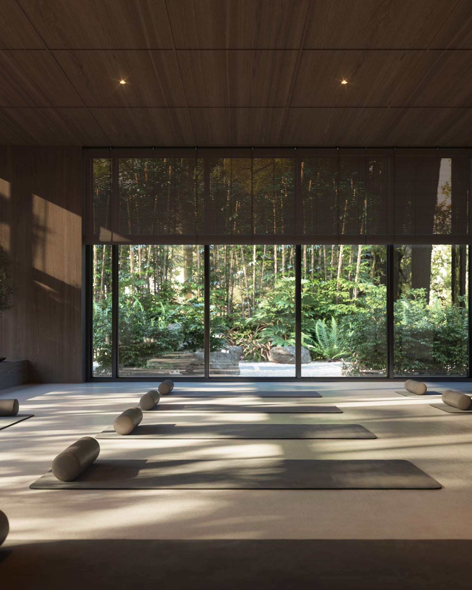 Gallery 11